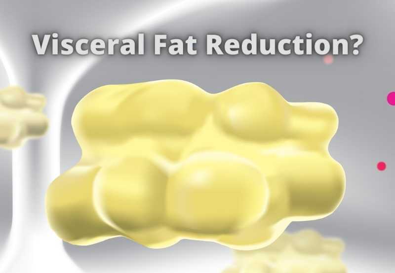 Non-invasive visceral fat reduction