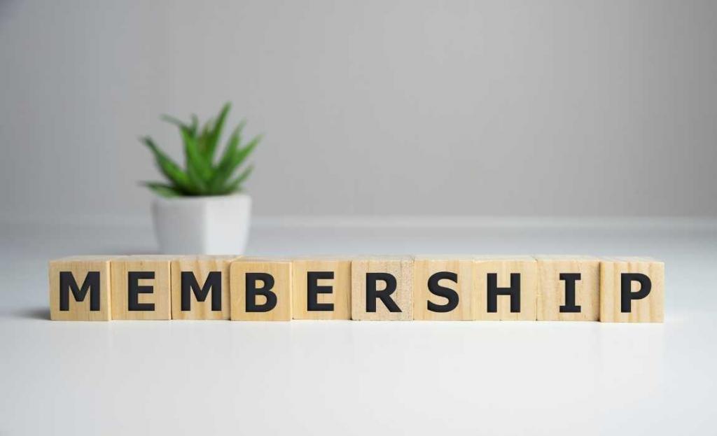 aesthetic membership program